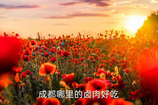 成都最火三輪車鹵肉面在哪里,成都哪里的鹵肉好吃