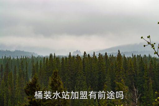 安慶加盟桶裝水利潤是多少,桶裝水的利潤有多大