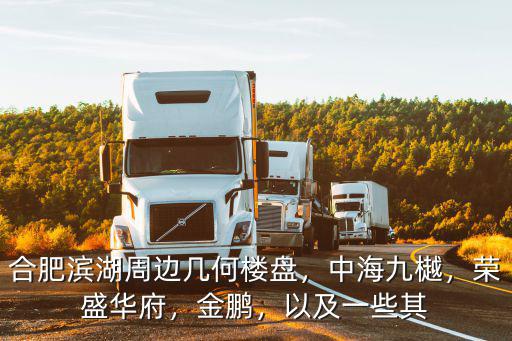 合肥濱湖周邊幾何樓盤，中海九樾，榮盛華府，金鵬，以及一些其