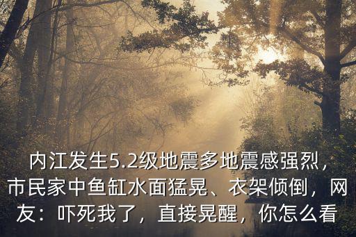 內(nèi)江哪里又地震了,地震又一次傷害了四川
