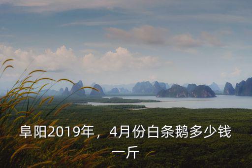 阜陽(yáng)2019年，4月份白條鵝多少錢一斤