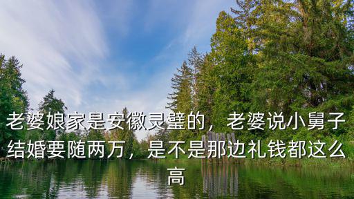 老婆娘家是安徽靈璧的，老婆說小舅子結婚要隨兩萬，是不是那邊禮錢都這么高
