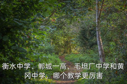 衡水中學、鄲城一高、毛坦廠中學和黃岡中學，哪個教學更厲害