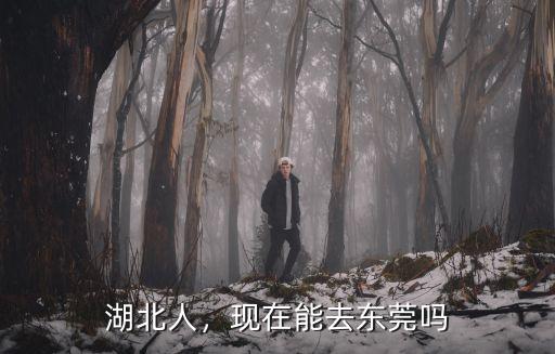 湖北人，現(xiàn)在能去東莞嗎