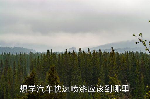 成都汽車噴漆哪里學,現在學汽車噴漆到什么地方學