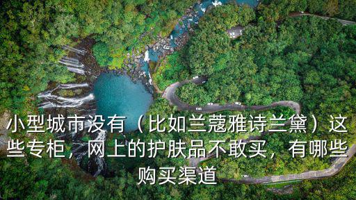 小型城市沒有（比如蘭蔻雅詩蘭黛）這些專柜，網(wǎng)上的護(hù)膚品不敢買，有哪些購買渠道