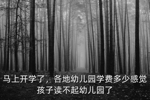 邯鄲藍天幼兒園學費多少錢,各地幼兒園學費多少
