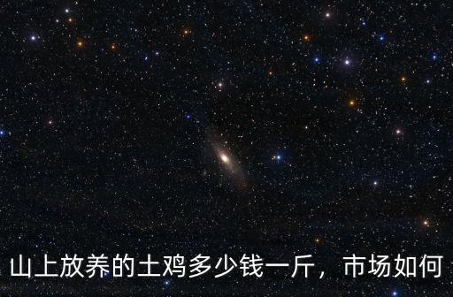 安慶雞販子多少錢一斤,現在的活雞多少錢一斤