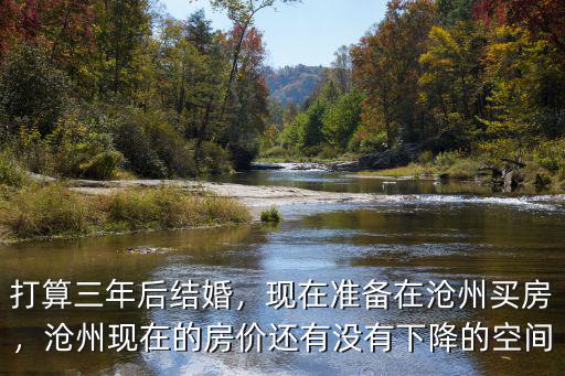 打算三年后結婚，現在準備在滄州買房，滄州現在的房價還有沒有下降的空間