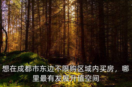 想在成都市東邊不限購區(qū)域內(nèi)買房，哪里最有發(fā)展升值空間