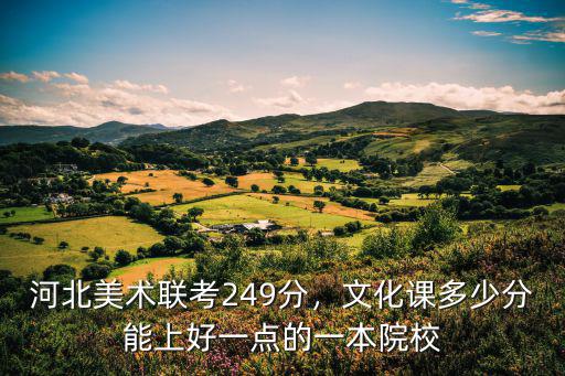 河北美術(shù)校考多少分錄取,河北美術(shù)聯(lián)考249分