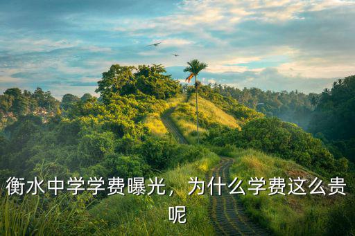 富順縣衡水中學的學費是多少,衡水中學學費曝光