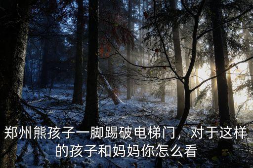 鄭州熊孩子一腳踢破電梯門，對于這樣的孩子和媽媽你怎么看