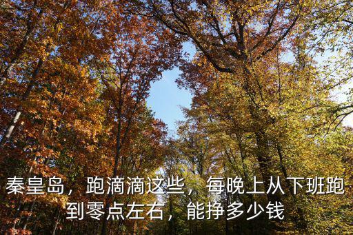 秦皇島，跑滴滴這些，每晚上從下班跑到零點左右，能掙多少錢