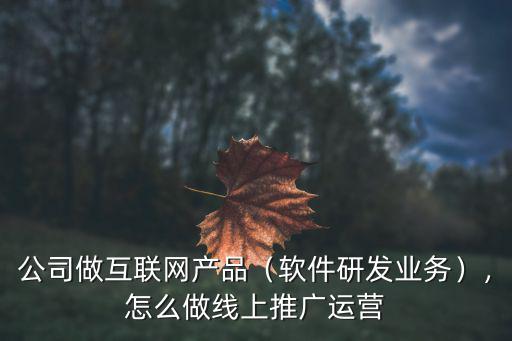 荊州怎么做線上推廣,怎么做線上推廣運營