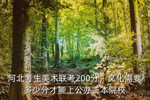 河北考生美術(shù)聯(lián)考200分，文化需要多少分才能上公辦二本院校