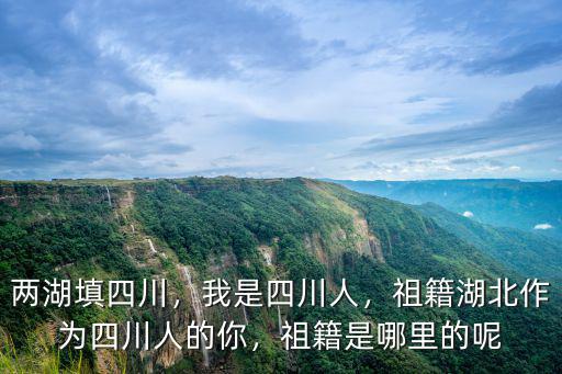 兩湖填四川，我是四川人，祖籍湖北作為四川人的你，祖籍是哪里的呢