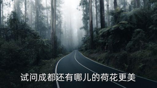 成都哪里有免費看荷花的地方,試問成都還有哪兒的荷花更美