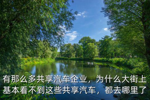 有那么多共享汽車企業(yè)，為什么大街上基本看不到這些共享汽車，都去哪里了