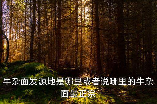 宜賓南岸牛雜面在哪里,牛雜面發(fā)源地是哪里