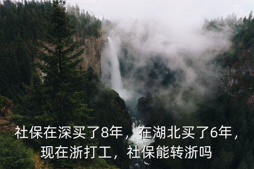 在武漢買的社保在深圳買社保怎么辦理嗎,社保在深買了8年