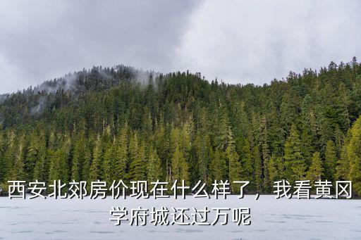 西安北郊房?jī)r(jià)現(xiàn)在什么樣了，我看黃岡學(xué)府城還過(guò)萬(wàn)呢