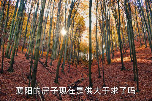 襄陽的房子現在是供大于求了嗎