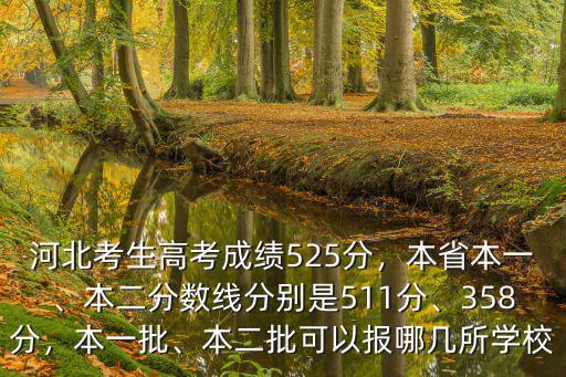 河北本二2018分數線是多少,分數線是461
