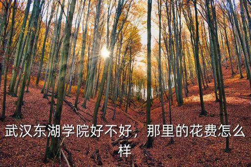 武漢東湖學院風平怎么樣,武漢東湖學院怎么樣
