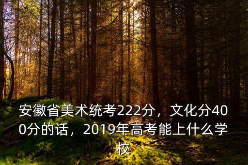 安徽省美術聯(lián)考多少分過,安徽美術統(tǒng)考成績272分