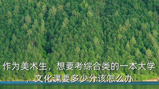 河北美術生考多少分能上一本,河北美術聯考249分