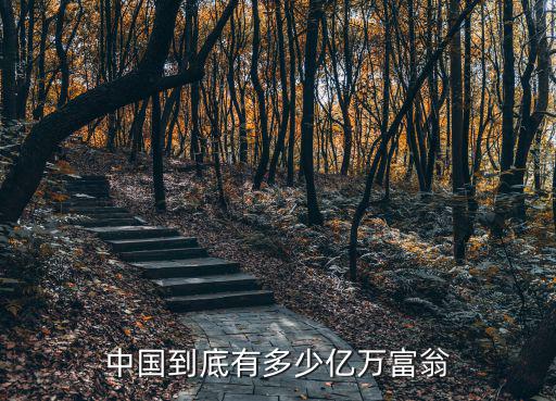 滁州有多少千萬富翁,中國有多少億萬富翁