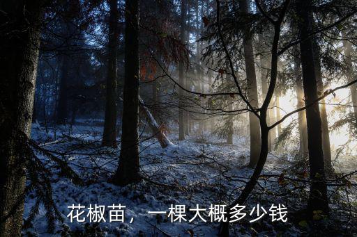河北涉縣無刺花椒價格多少錢賣,無刺花椒苗鳳椒的價格是多少