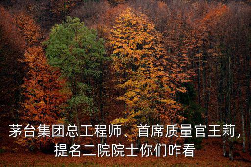 安徽省桐城市現(xiàn)有二院院士多少人,提名二院院士你們咋看
