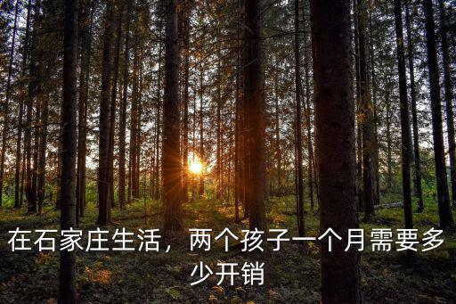 石家莊二職學(xué)費(fèi)多少錢一個月,兩個孩子一個月需要多少開銷