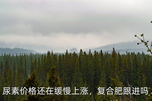 尿素價(jià)格還在緩慢上漲，復(fù)合肥跟進(jìn)嗎