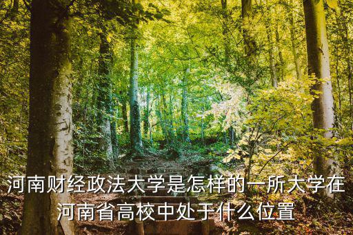河南財經政法學院在哪里,河南財經政法大學怎么樣