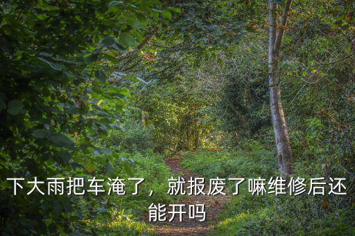 河北唐山下大雨淹了多少車,下大雨把車淹了