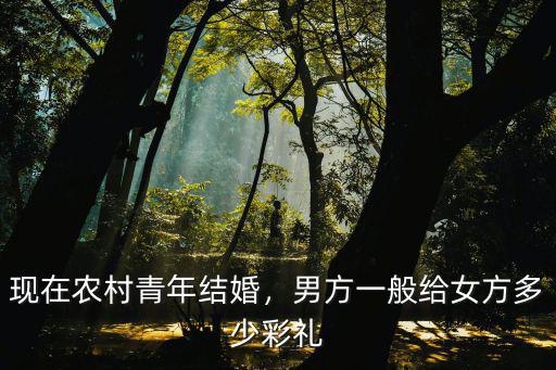 現在農村青年結婚，男方一般給女方多少彩禮