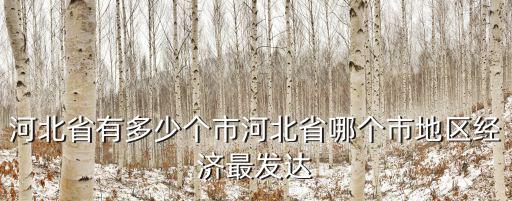 河北省有多少個(gè)市河北省哪個(gè)市地區(qū)經(jīng)濟(jì)最發(fā)達(dá)