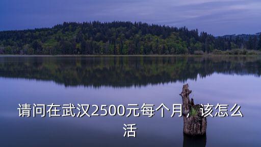 請(qǐng)問(wèn)在武漢2500元每個(gè)月，該怎么活