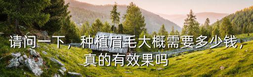 合肥眉毛種植多少錢,眉毛種植需要多少錢