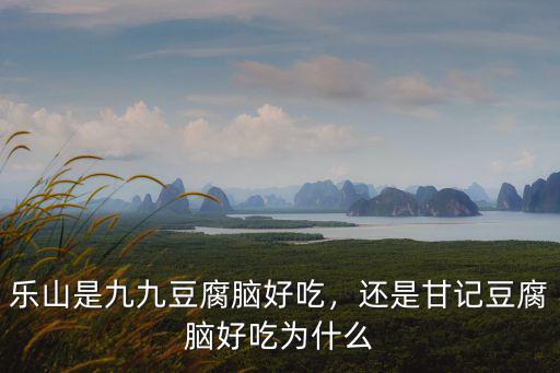 樂山豆腐哪里好吃,樂山是九九豆腐腦好吃