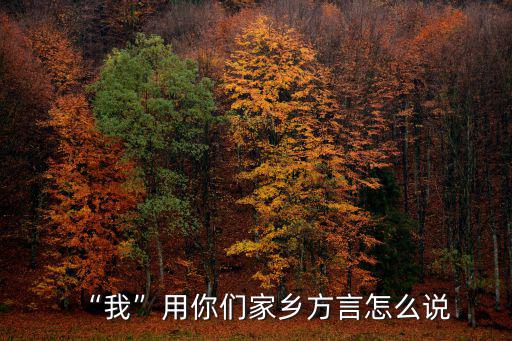 “我”用你們家鄉方言怎么說