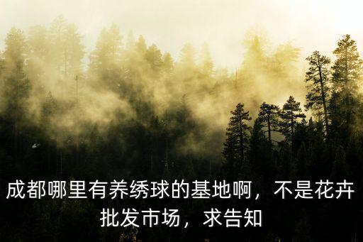 成都周邊哪里有小型花卉基地,成都哪里有養繡球的基地啊