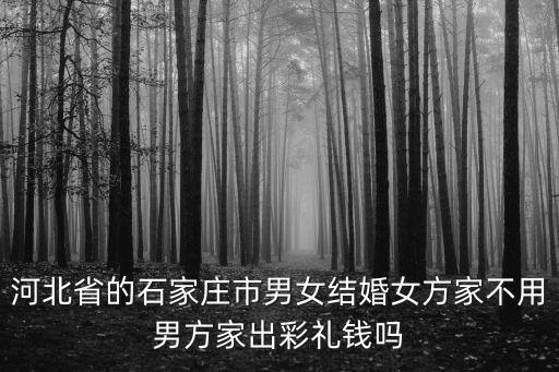 石家莊晉州彩禮一般給多少錢,石家莊藁城彩禮一般多少錢