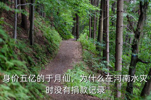 河南水災馬天宇捐了多少錢,河南水災少林寺捐款了嗎