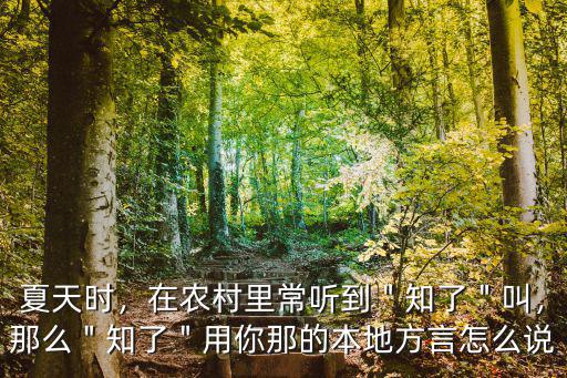 安陽話知了怎么說,知了猴用你的家鄉話怎么說