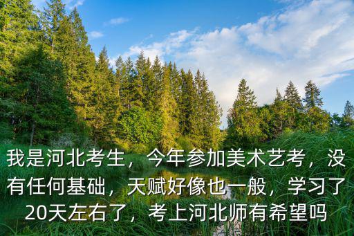 河北師范美術學費是多少,我是河北考生