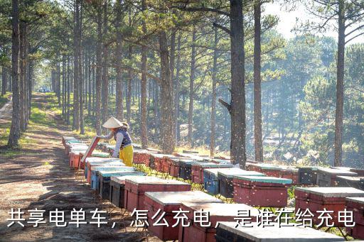 共享電單車，怎么充電，是誰在給充電